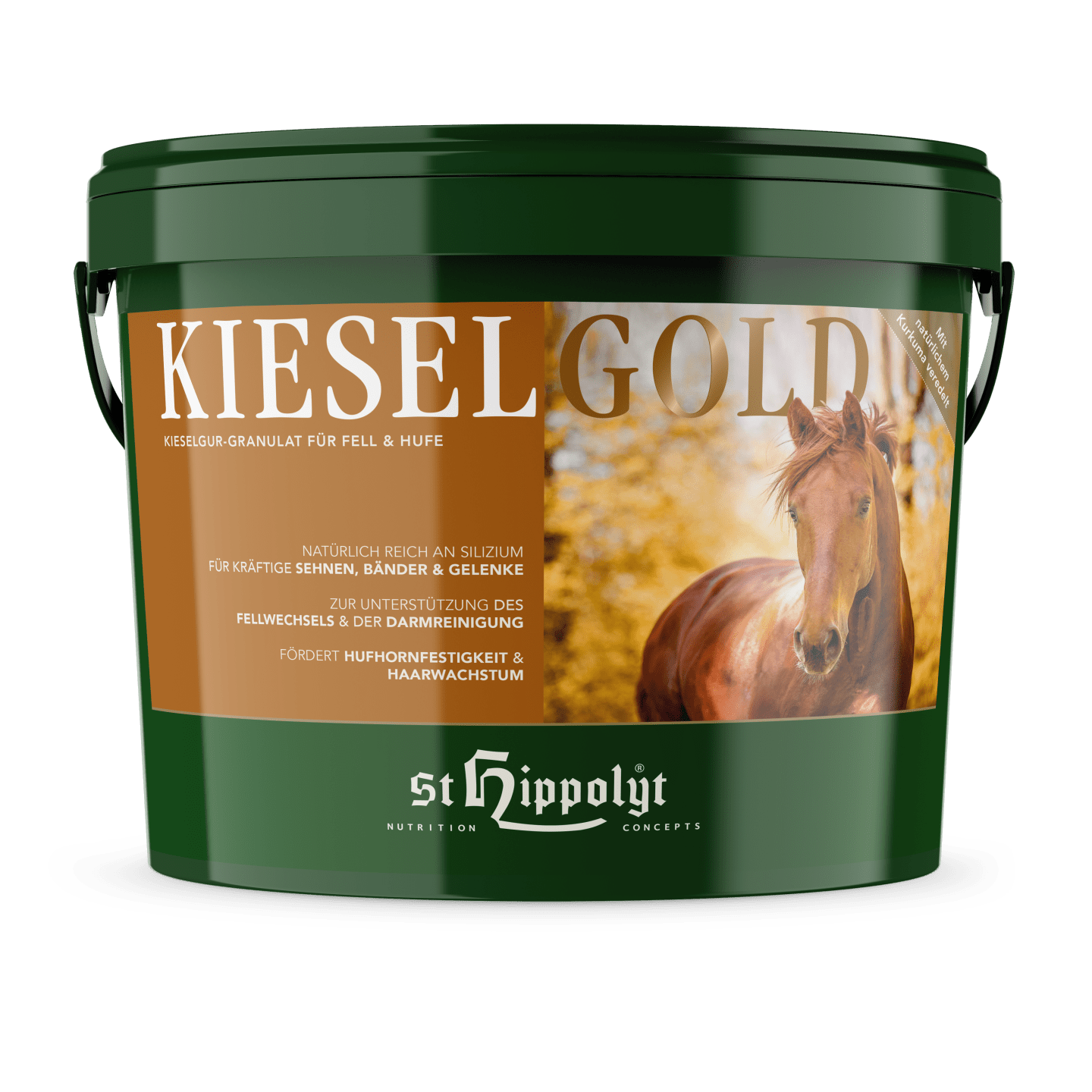 St. Hippolyt Kieselgold mit Silizium und Kurkuma