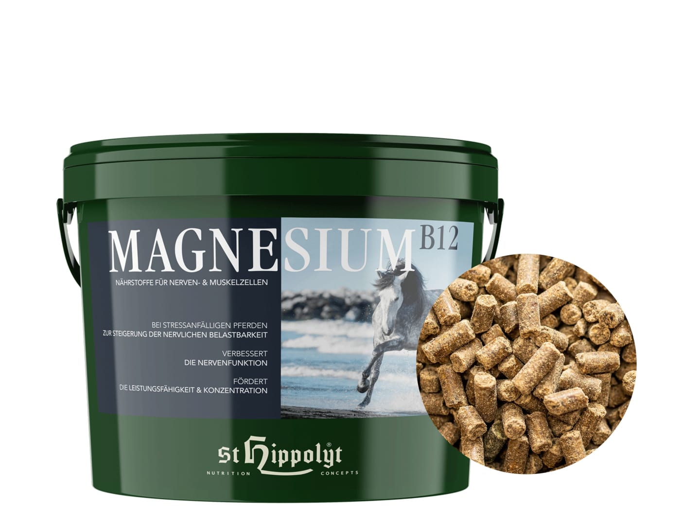 St. Hippolyt Magnesium B12 mit Biotin und Kräutern