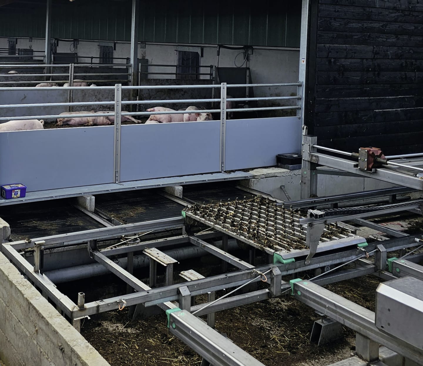 DOMINO Entmistungsboden "OptiWaste" für Schweine