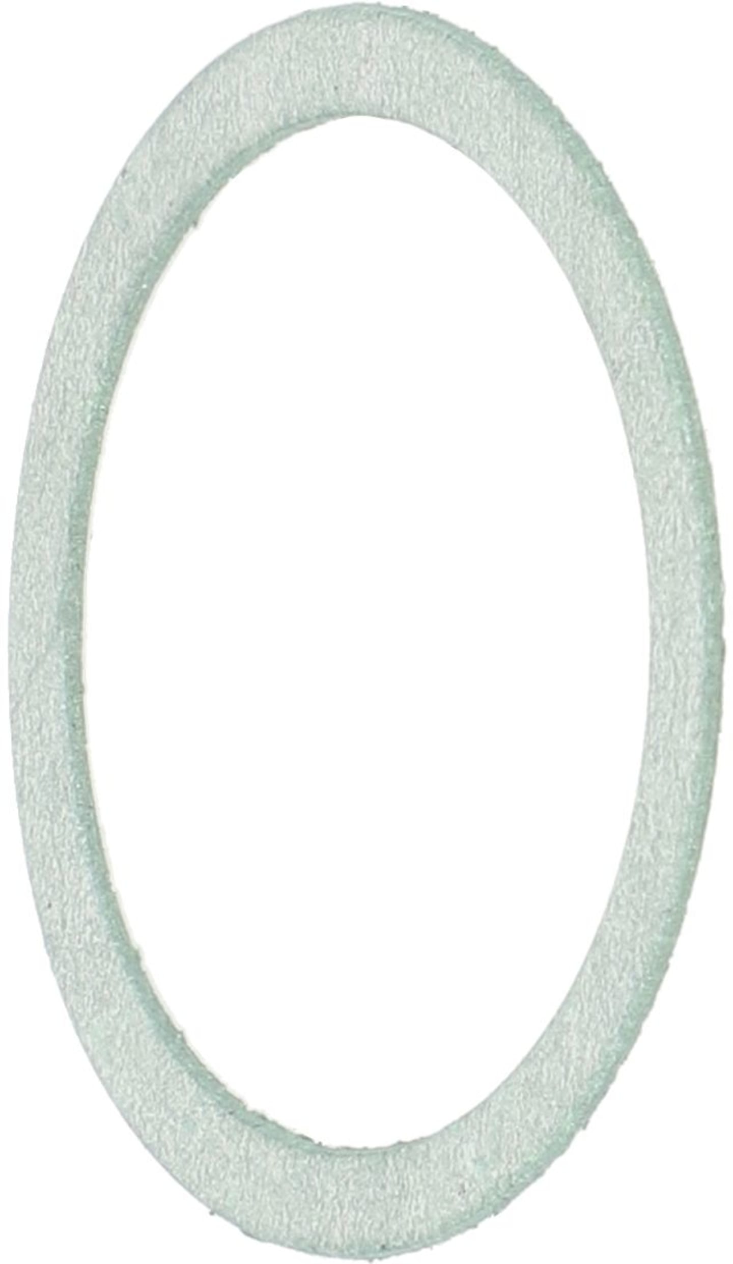 Rau Segmentdichtung 23 x 27,6 x 0,5 mm, für Feldspritze QV-Regler "Telemat", RG00022169