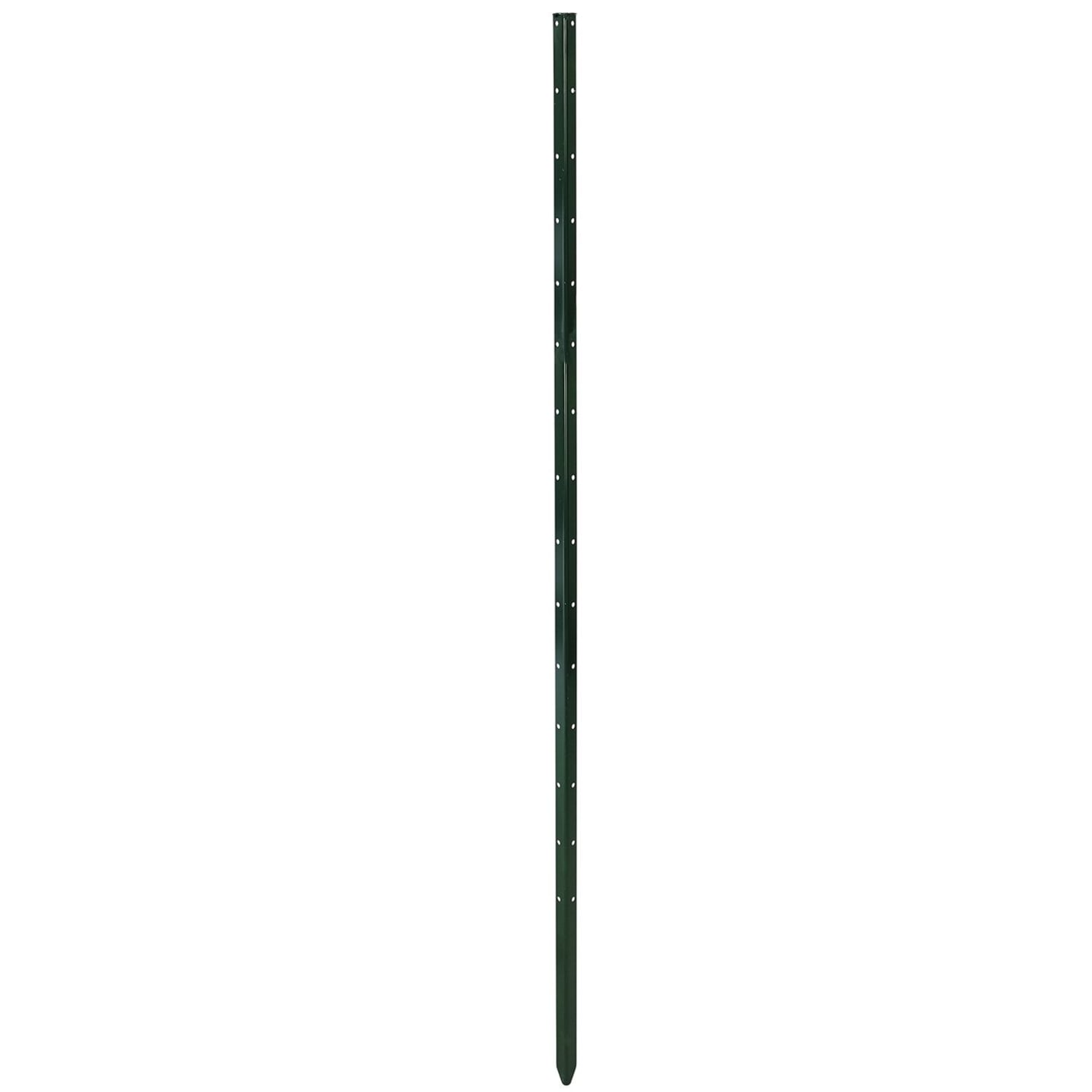 bellissa Pflanzstab "Timo" 150 cm, Stahl verzinkt; pulverbeschichtet, 93882