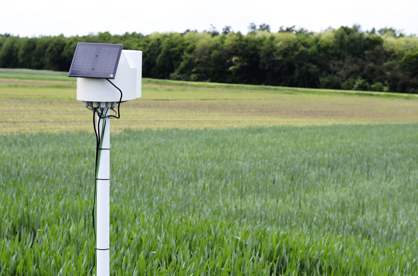 METOS® Wetterstation "Eco - Pflanzenschutz" mit 4 Sensoren und Stationsmast zzgl. Servicevertrag, 700037