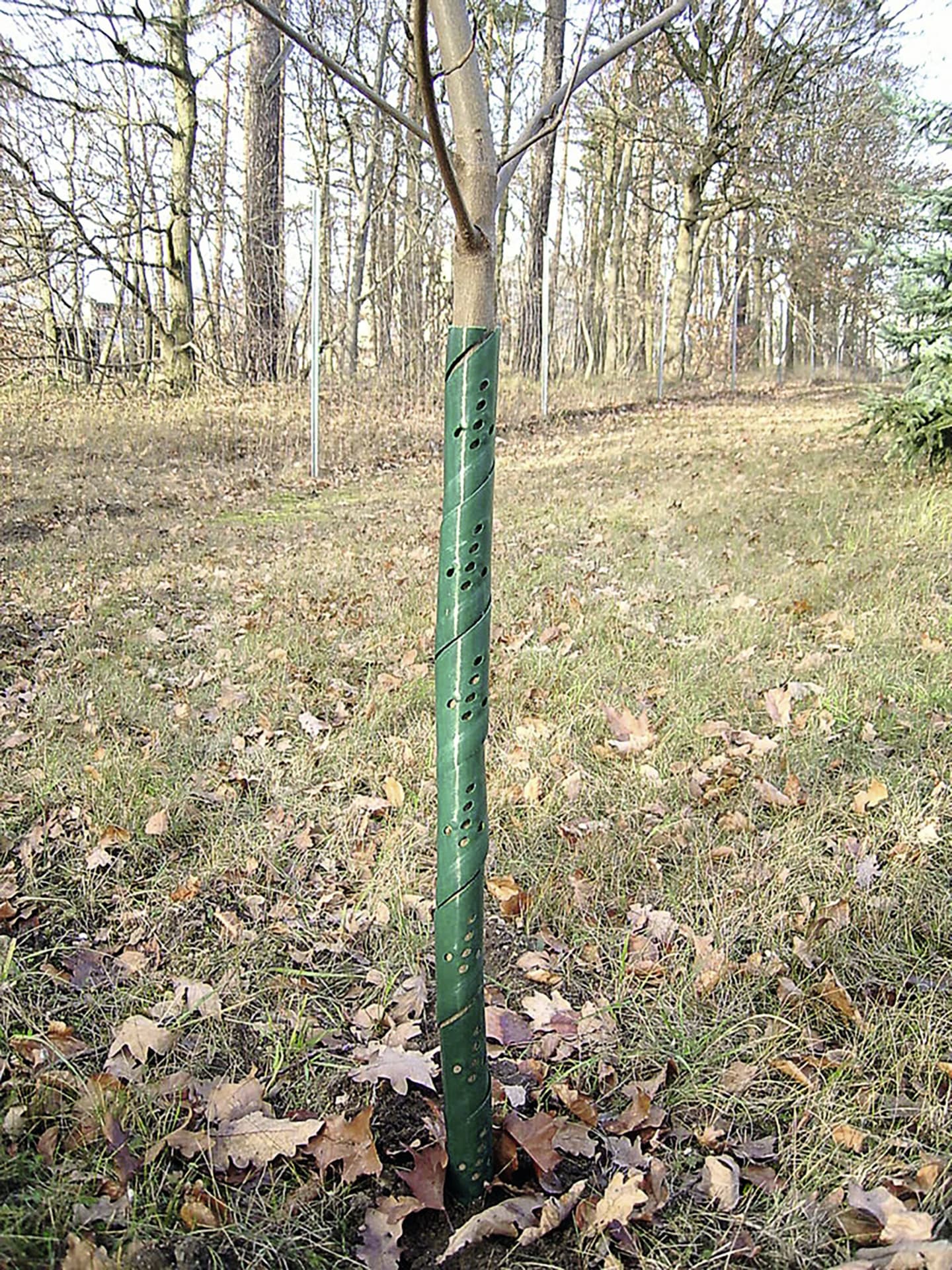 rainbow professional Wild- und Fegeschutzspirale für Baumstämme bis ca. 3,8 cm