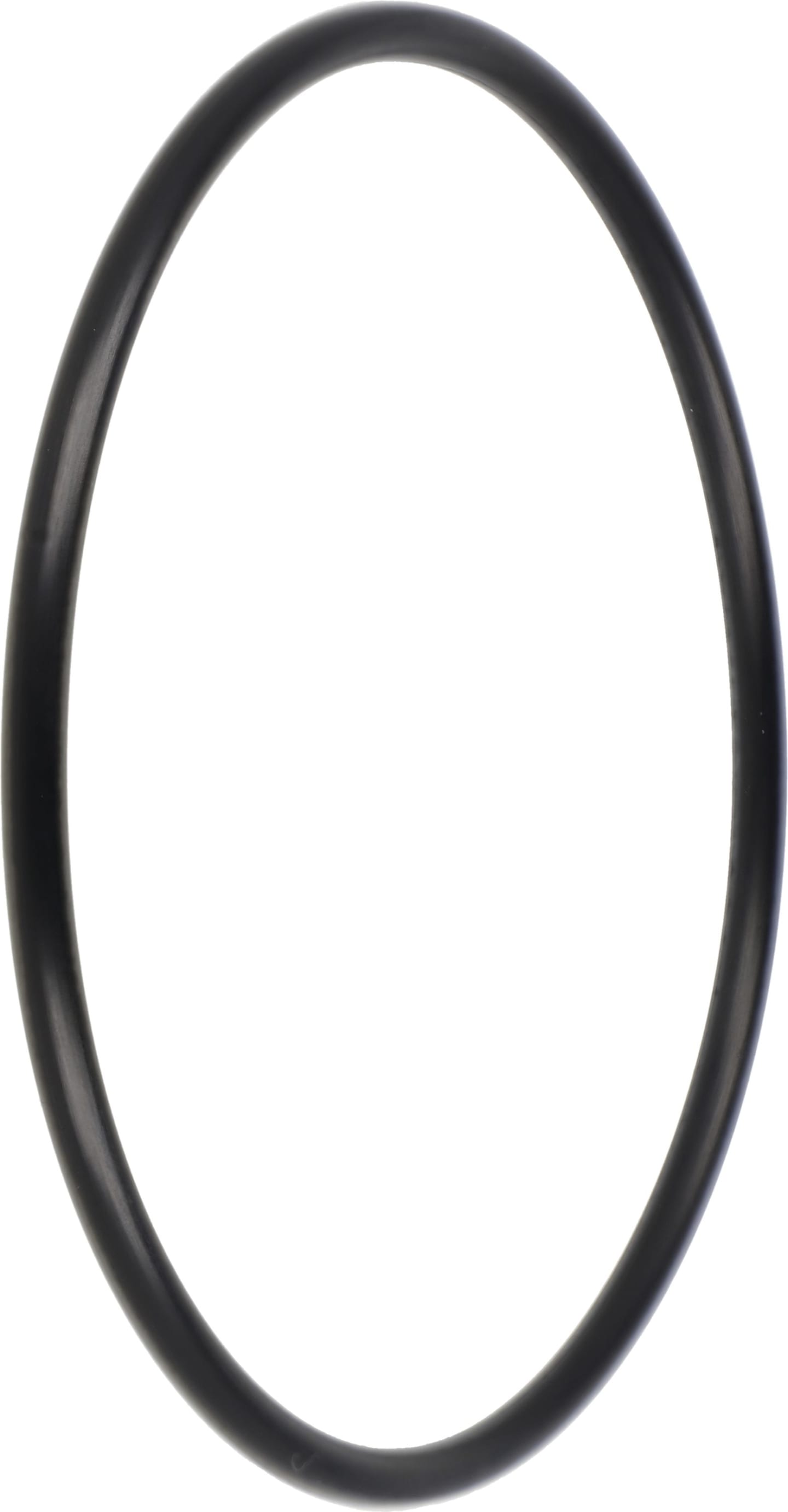 Posch® O-Ring 79,00 x 3,53 mm für Filter Ikron HF502-20 Holzspalter HydroCombi, Z140 0758