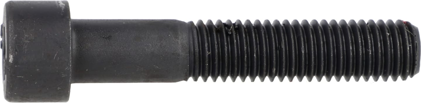 Fendt Innensechskantschraube DIN 912 M 10 x 55 - 10.9, für Traktor 200 Vario, Mähdrescher 6300, 8300, X485013707000