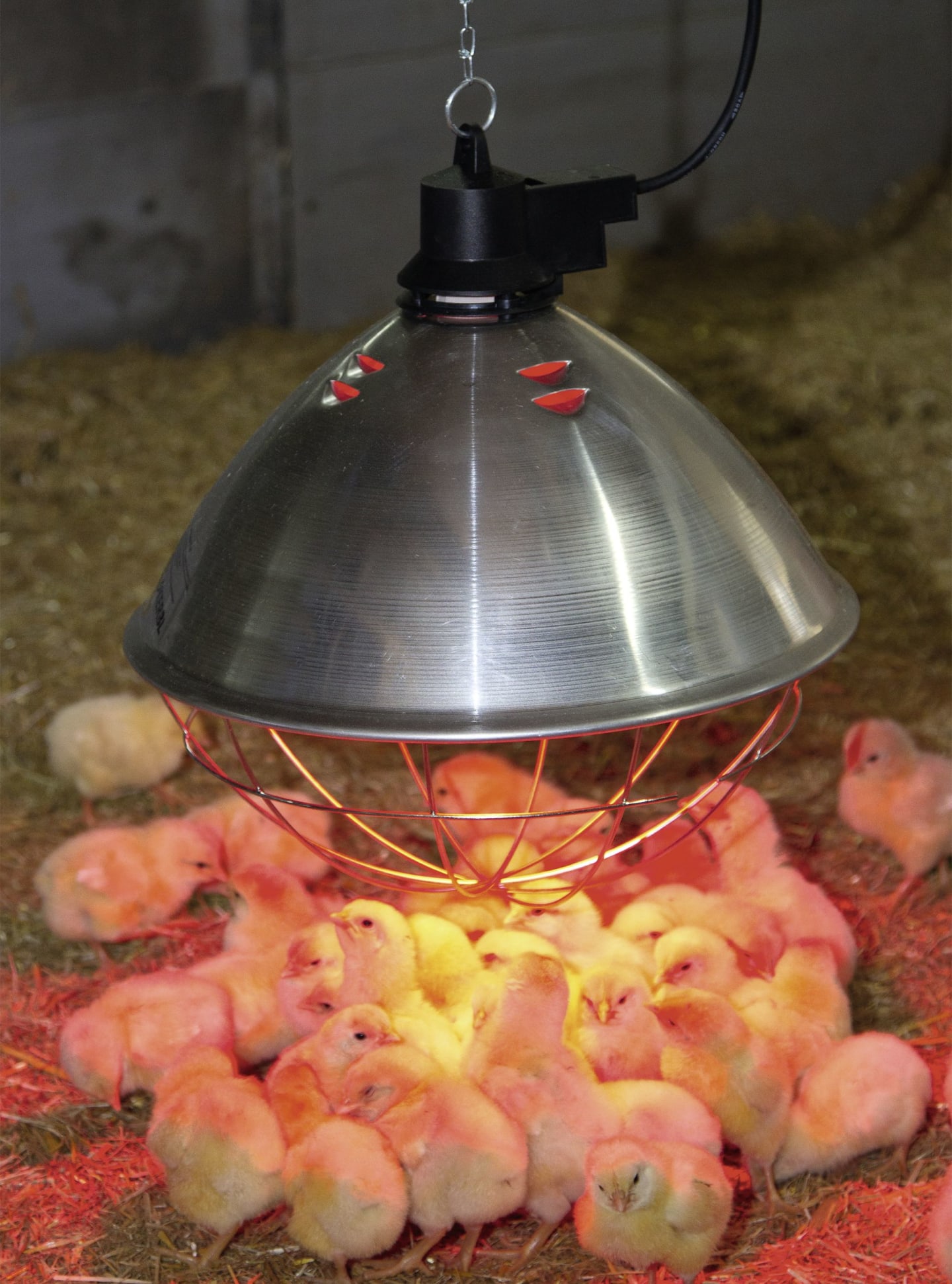 KERBL Infrarotheizstrahler Ø 350 mm, Netzkabel 5 m, 22729