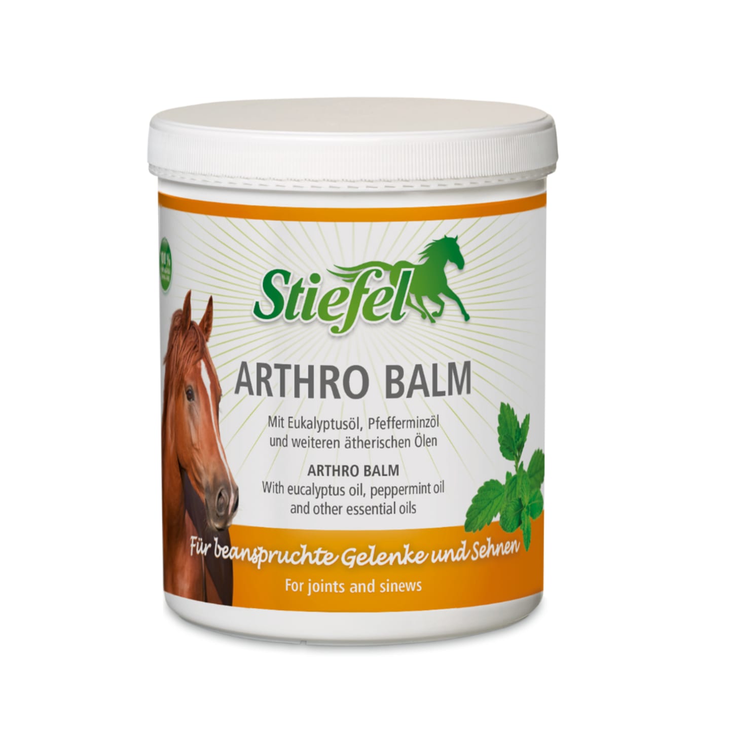 Stiefel Arthro Balm 1 kg Dose mit Eukalytpus