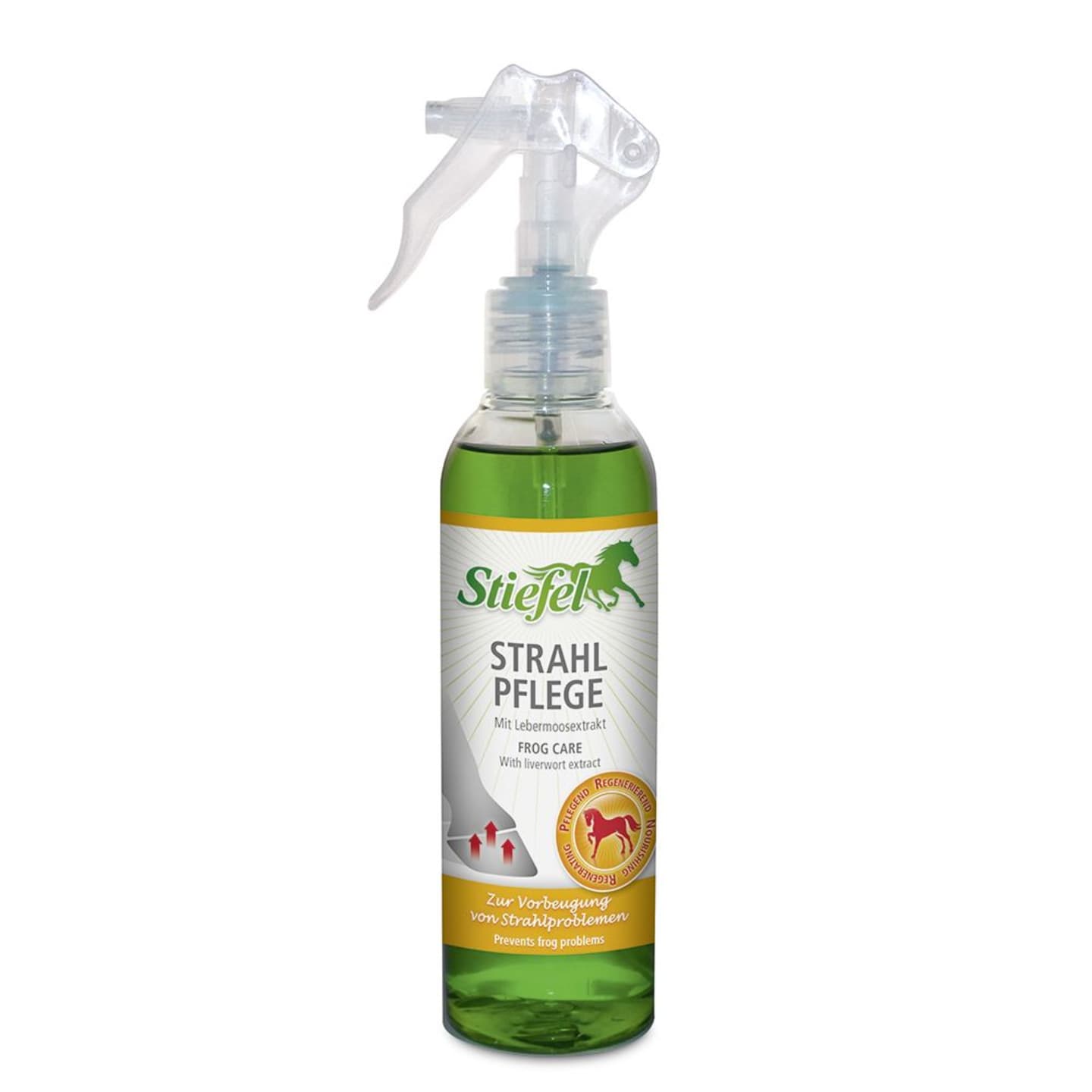 Stiefel Strahl Pflege mit Lebermoosextrakt 200 ml Spray