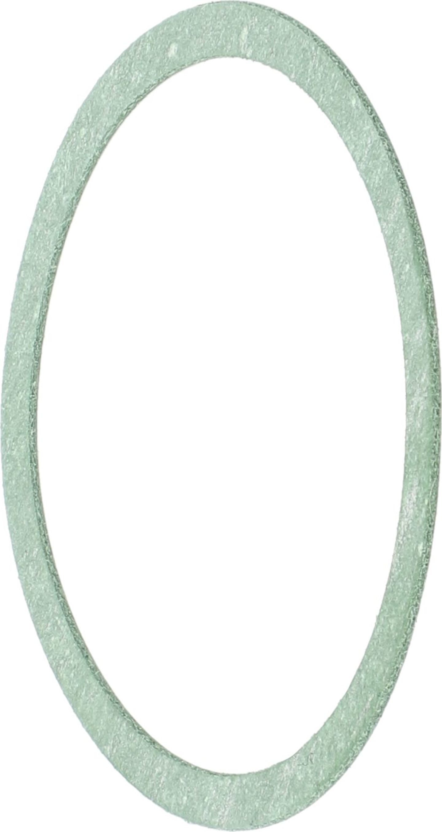 Rau Segmentdichtung 34 x 39 x 0,5 mm, für Feldspritze QV-Regler "Telemat", RG00014019
