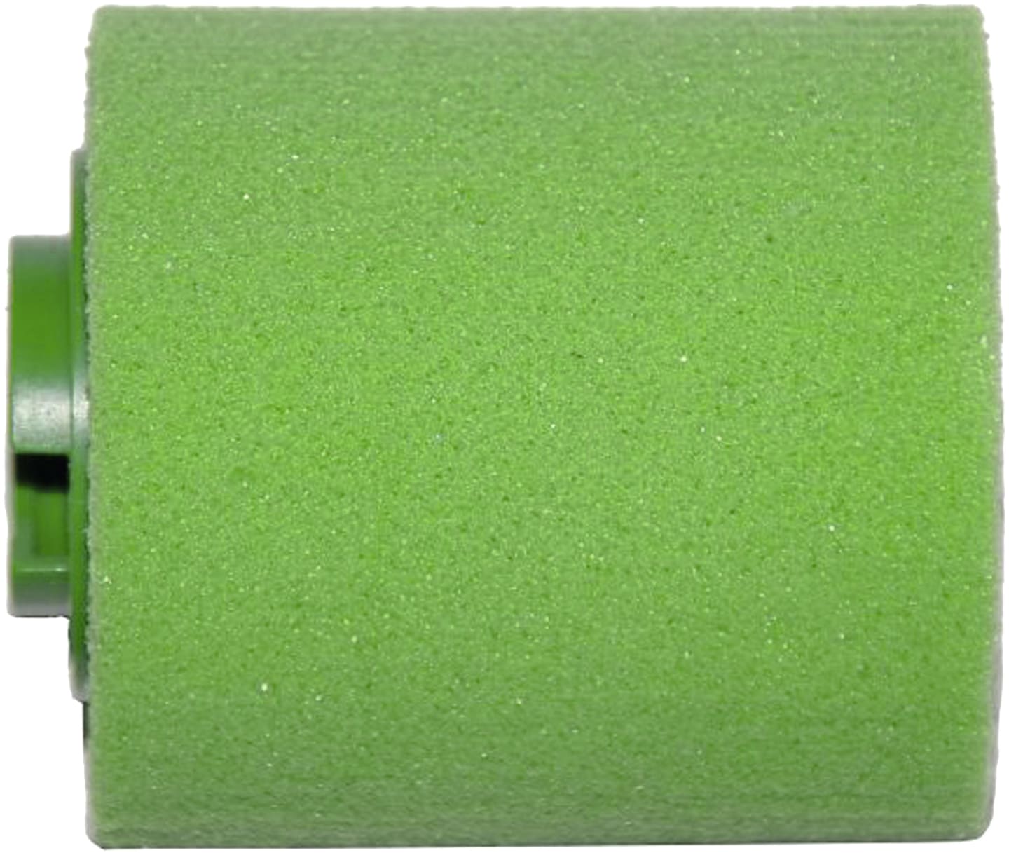 Micron Ersatzschwamm grün 52 x 52 x 61 mm für Streichgerät "Unkrauttupfer Plus"