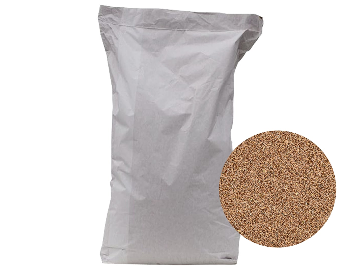 Ölrettich Saatgut Siletina ZS ungebeizt 25 kg Sack
