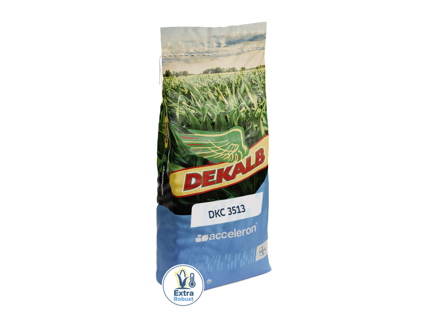 Mais-Saatgut Dekalb DKC 3513 Redigo M + Acceleron B360 + Korit (Acceleron Vogelrepellent) 50000 Körner/EH (S 260; ca. K 250)