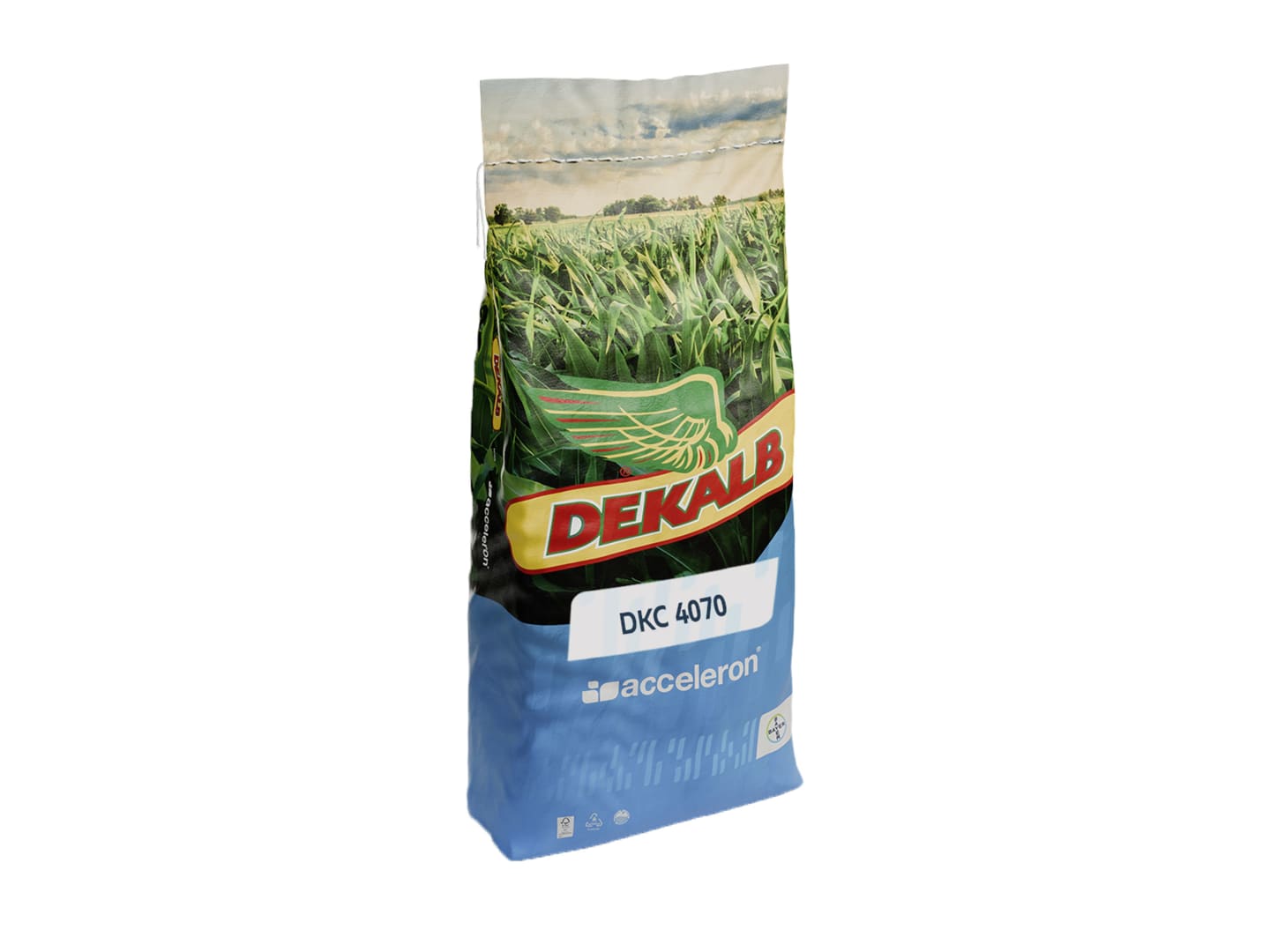 Mais-Saatgut Dekalb DKC 4070 (S 290; ca. K 270)