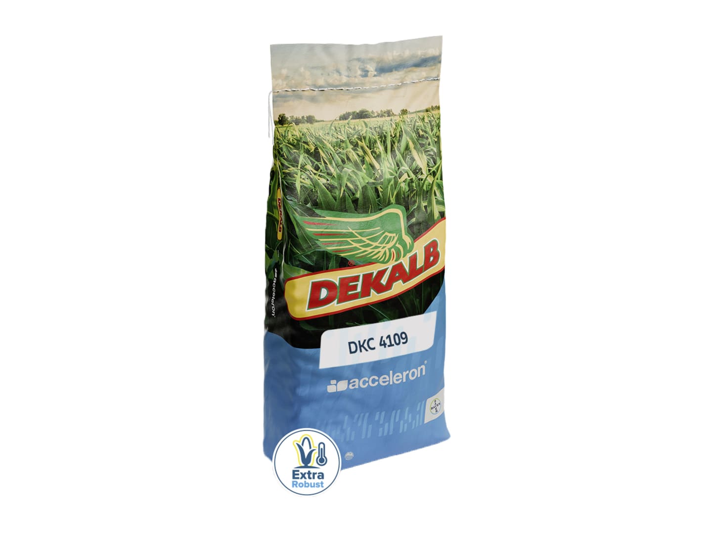 Mais-Saatgut Dekalb DKC 4109 Redigo M + B360 + Korit 50000 Körner/EH (ca. K 270)