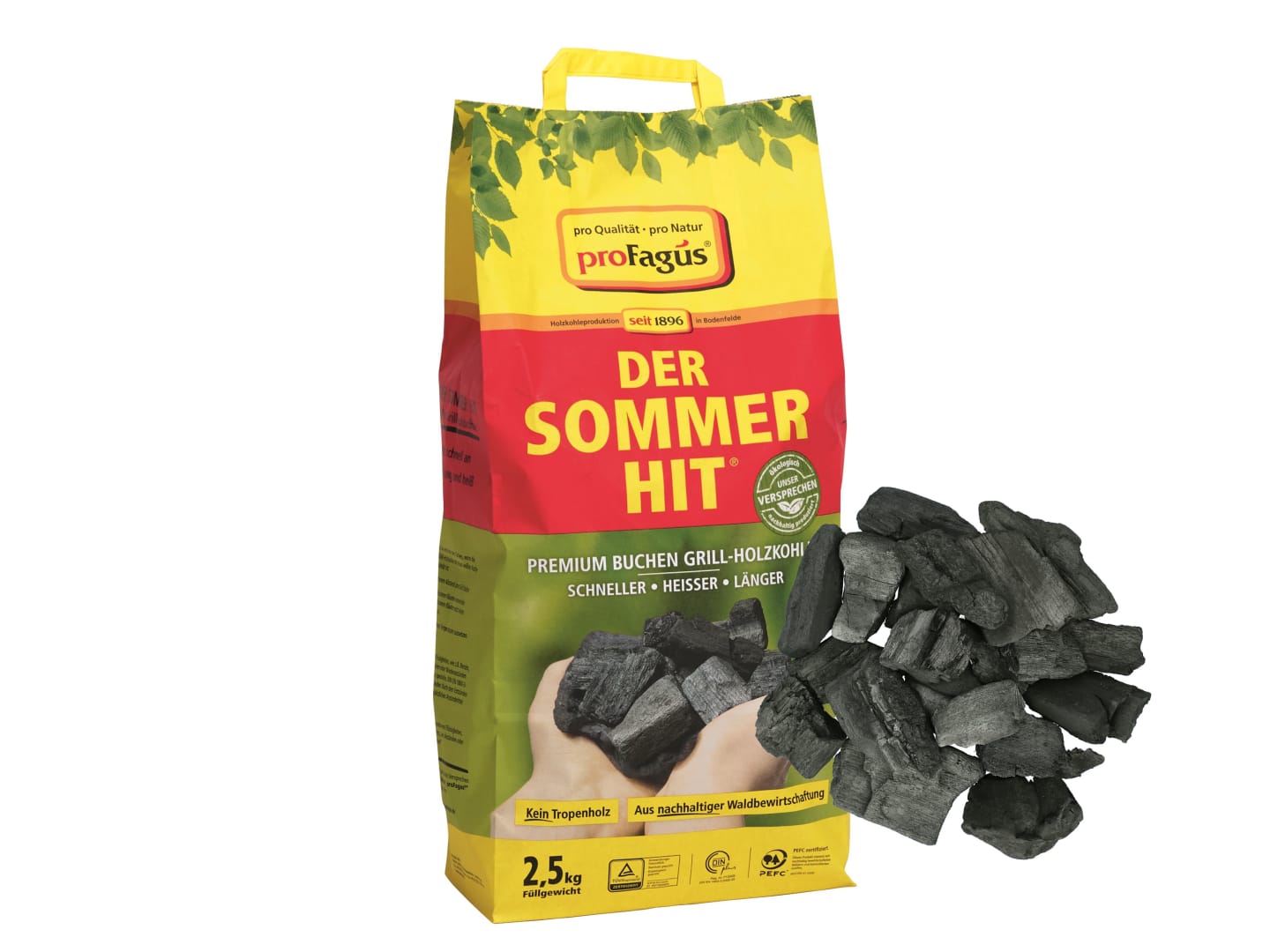 proFagus Grillholzkohle DER SOMMERHIT Premium Buche 2,5 kg