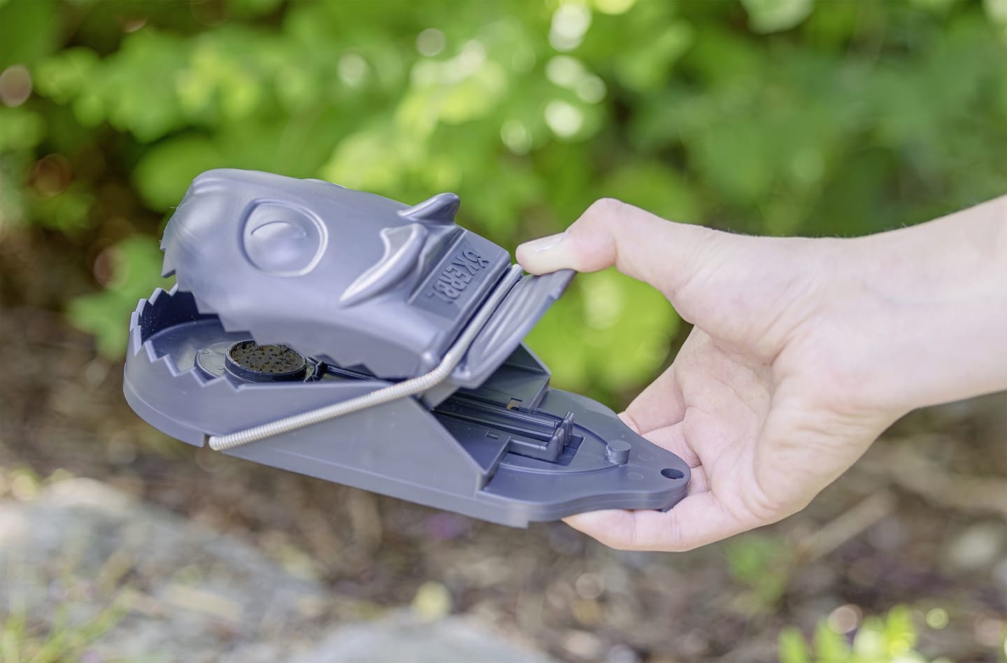cit® Rattenfalle "ratStop" 1 St., 299927