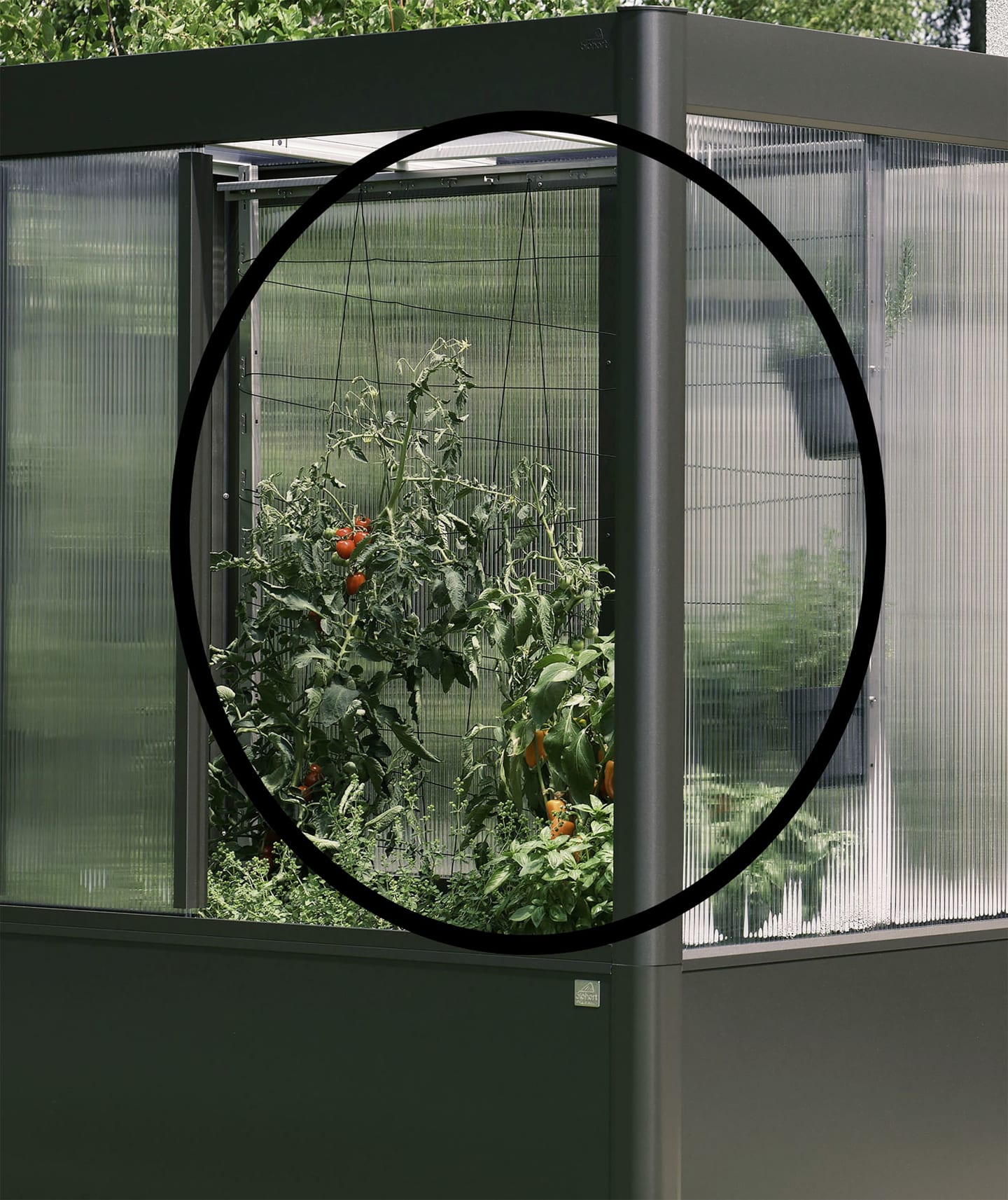biohort® Rankhilfe für Gewächshaus Florentina, B170998