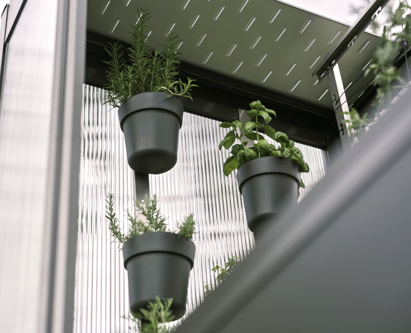 biohort® Pflanzentopfset für Gewächshaus Florentina, B170996