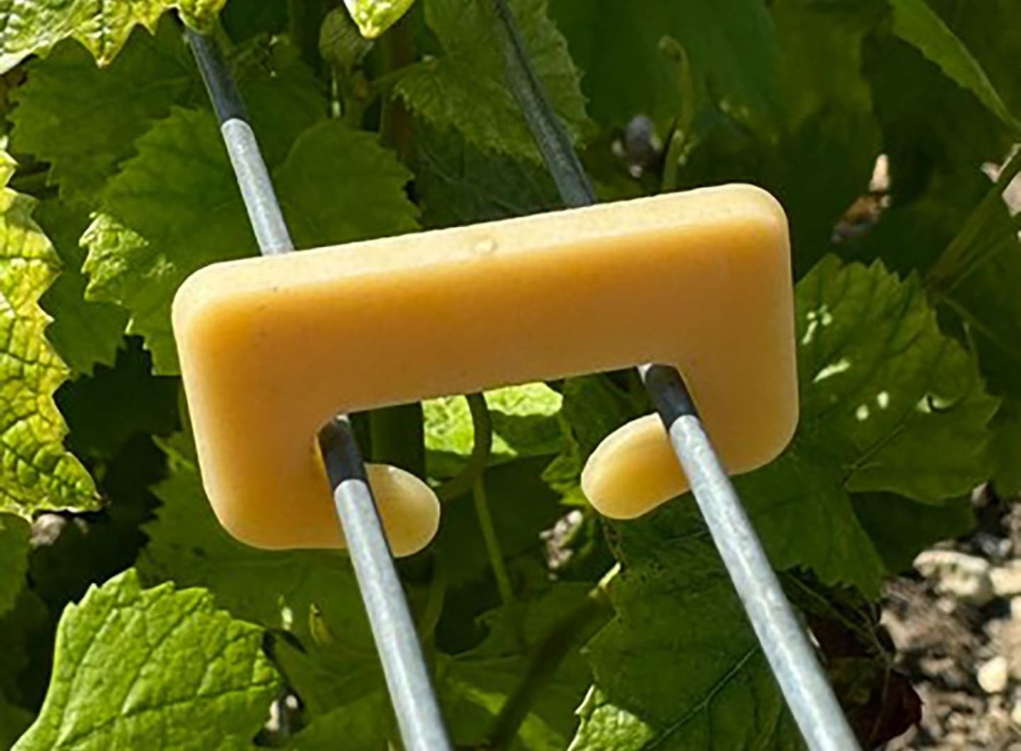 CAVI Rebklammer "Vitagraf® Vegetal" Abstand 20 mm, max. 18 kg, 3.400 St. Eimer