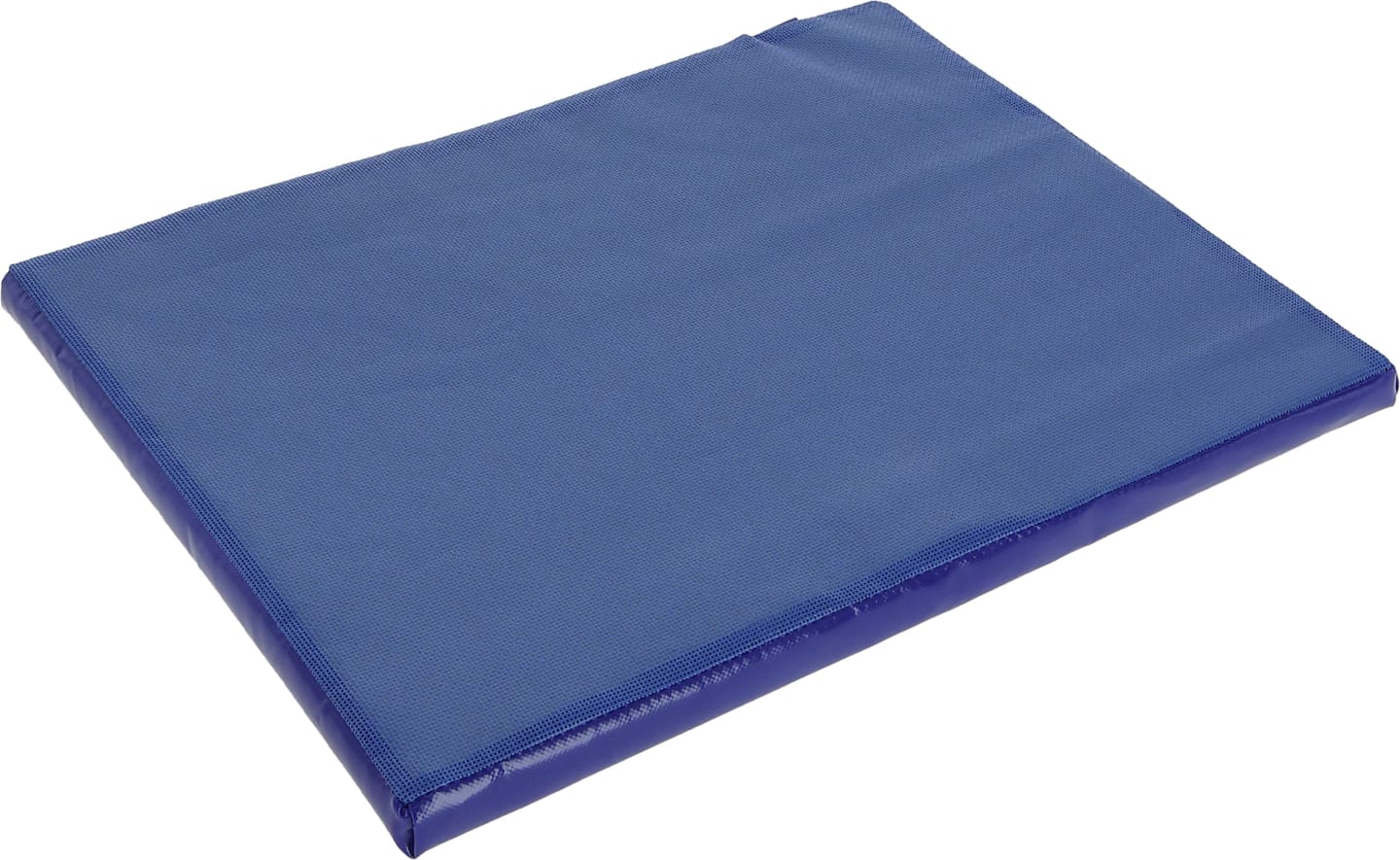 KERBL Desinfektionsmatte 6 l, 550 x 450 x 30 mm, blau, 16490