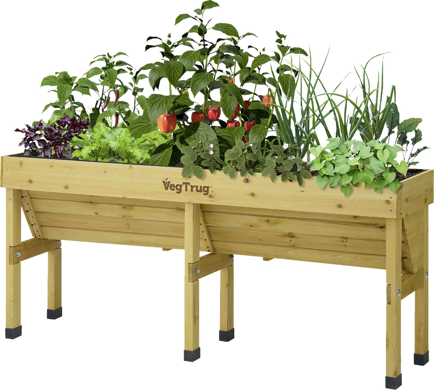 VegTrug Hochbeet "Wall Hugger" natur 183 x 80 x 46 cm für die Montage an die Wand, 090VTWAHU18;1062