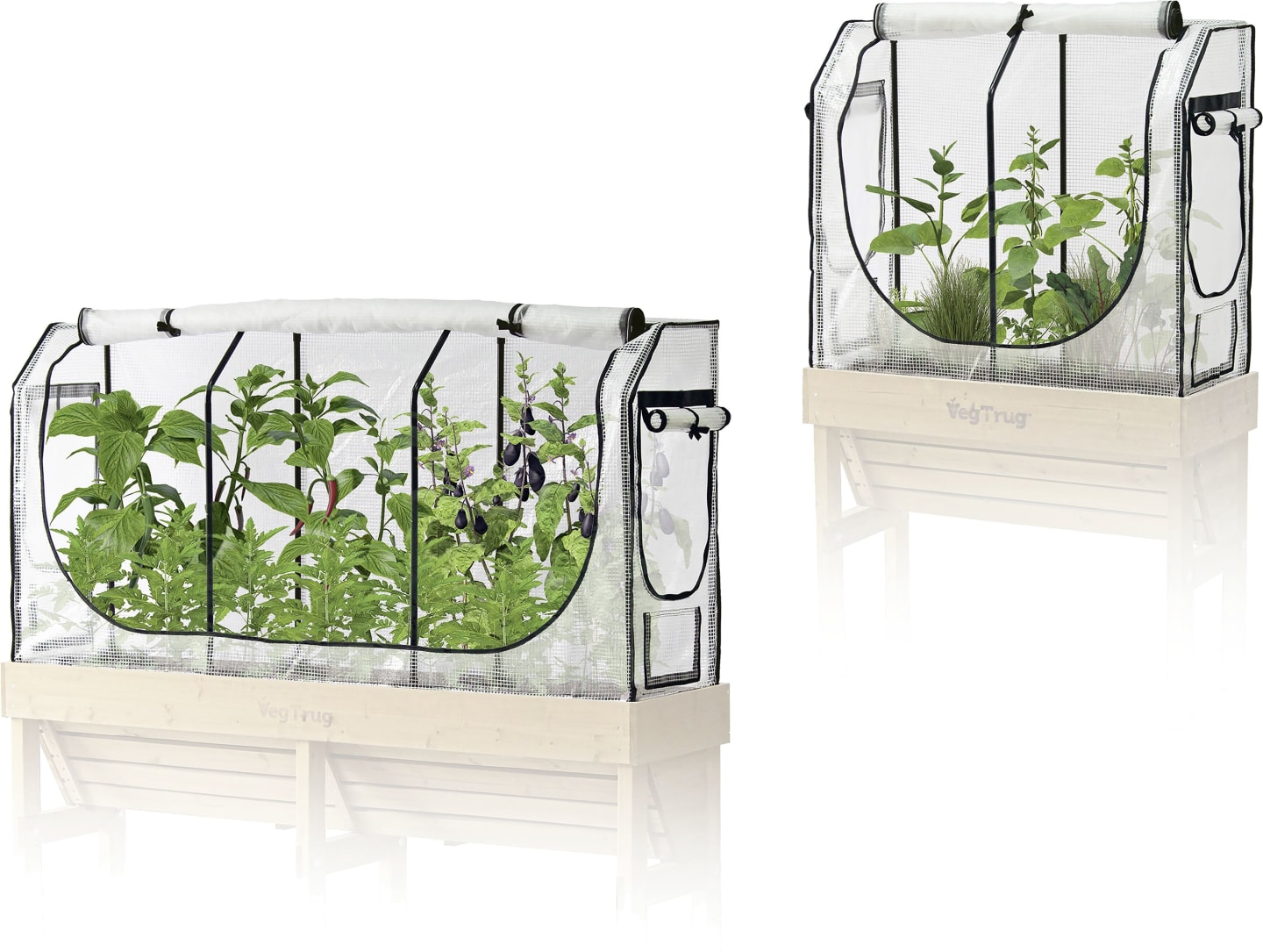 VegTrug Gewächshausaufsatz für Hochbeet Wall Hugger