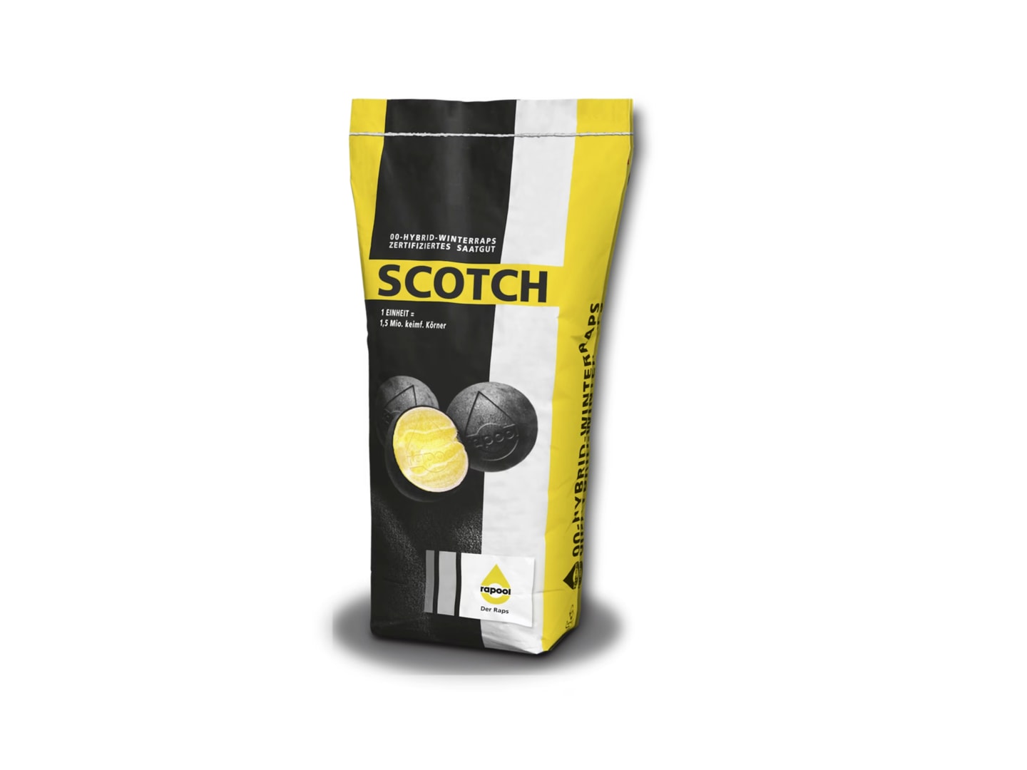 Winterraps Saatgut Rapool SCOTCH