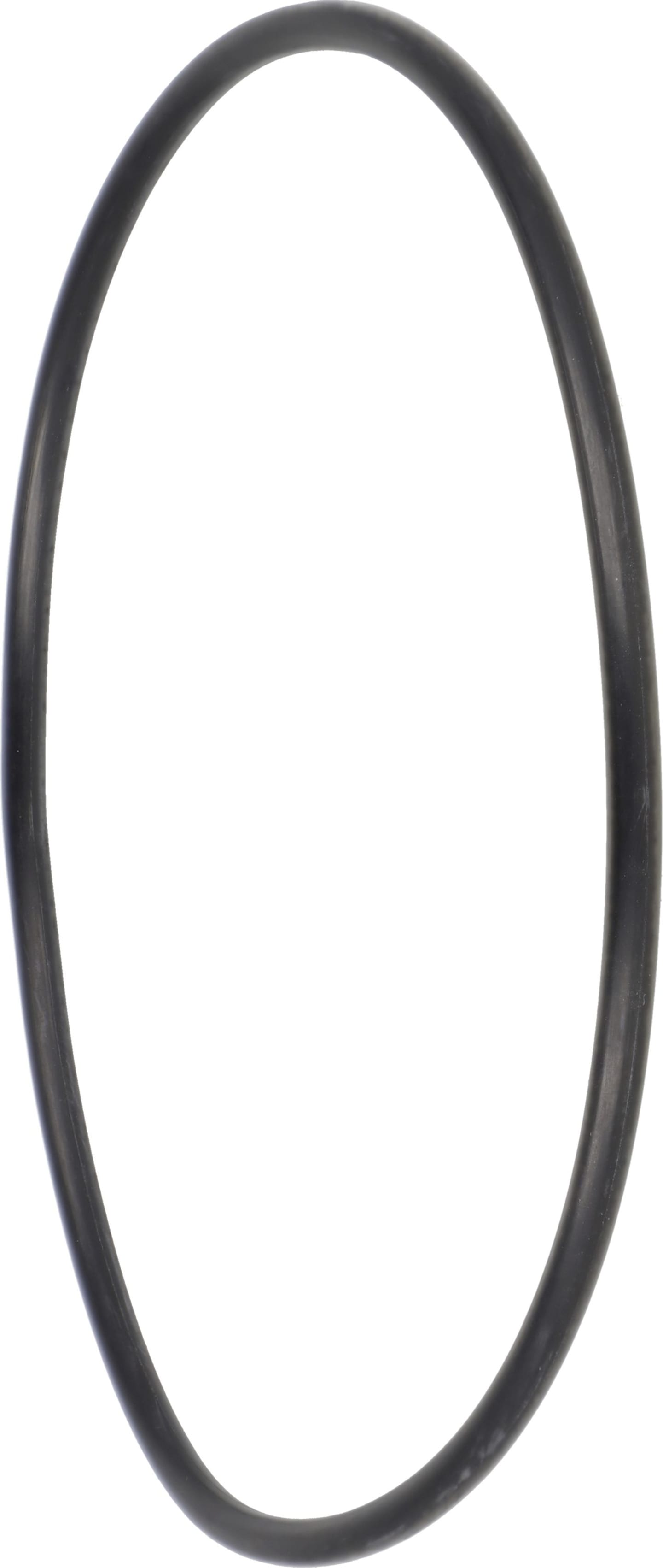 Horsch Dichtung 2 " für Saugfilter, Druckfilter-Y-, Spritze Leeb, 04104245