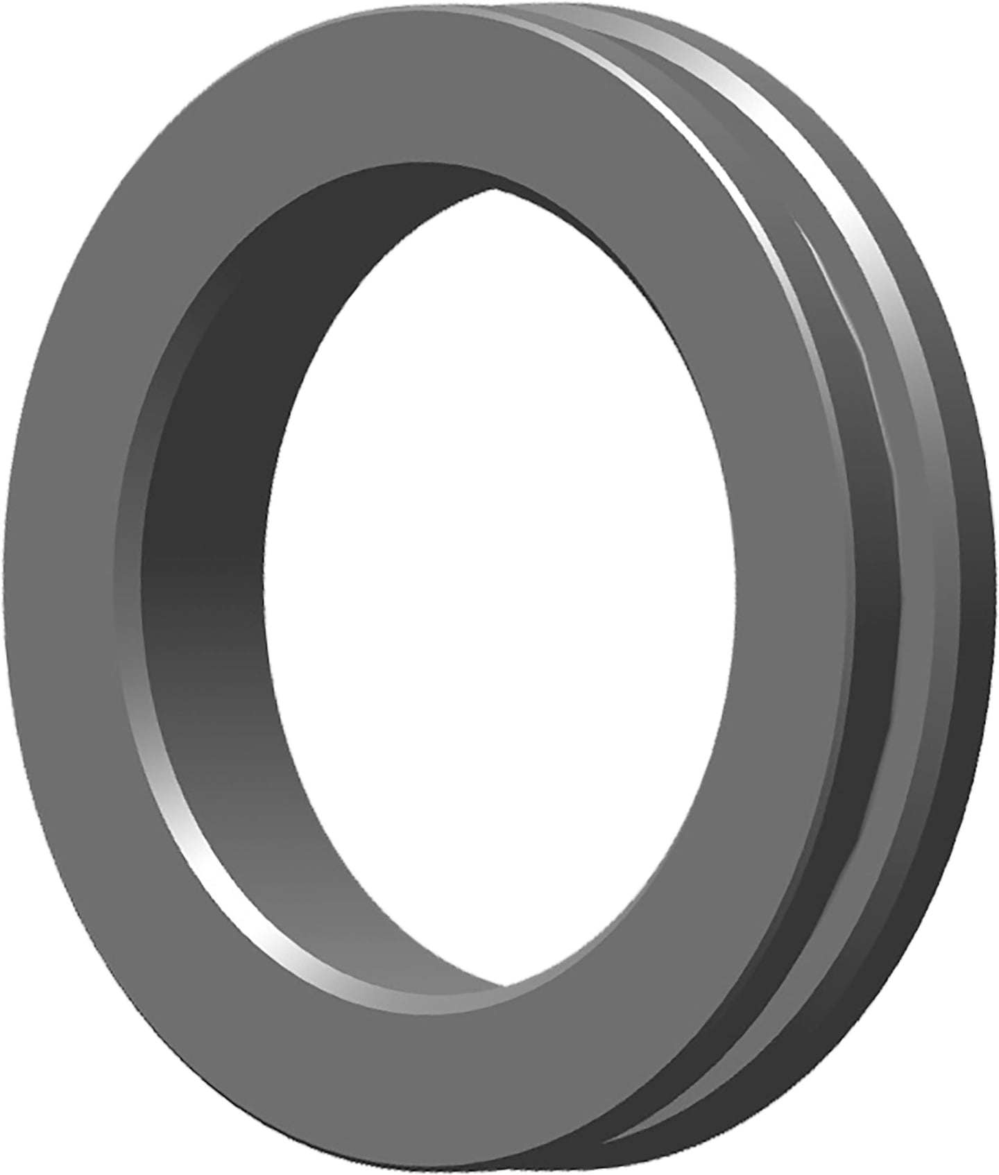 Walterscheid Lagerring SC 35 Profil S6, für Gelenkwellenschutz, 1388448