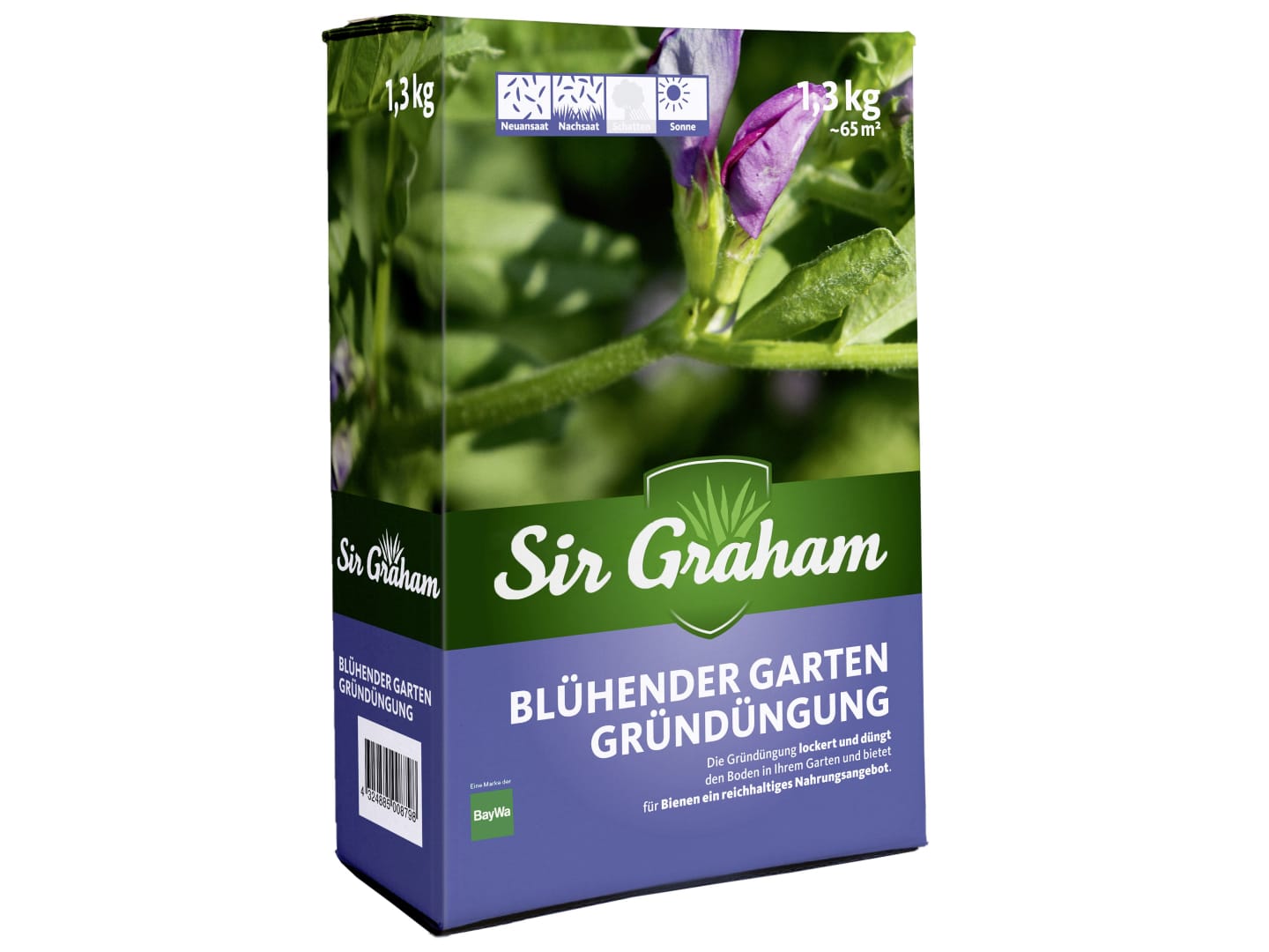 Sir Graham Gründüngung mit Hülsenfrüchten 1,3 kg Karton 65 m²