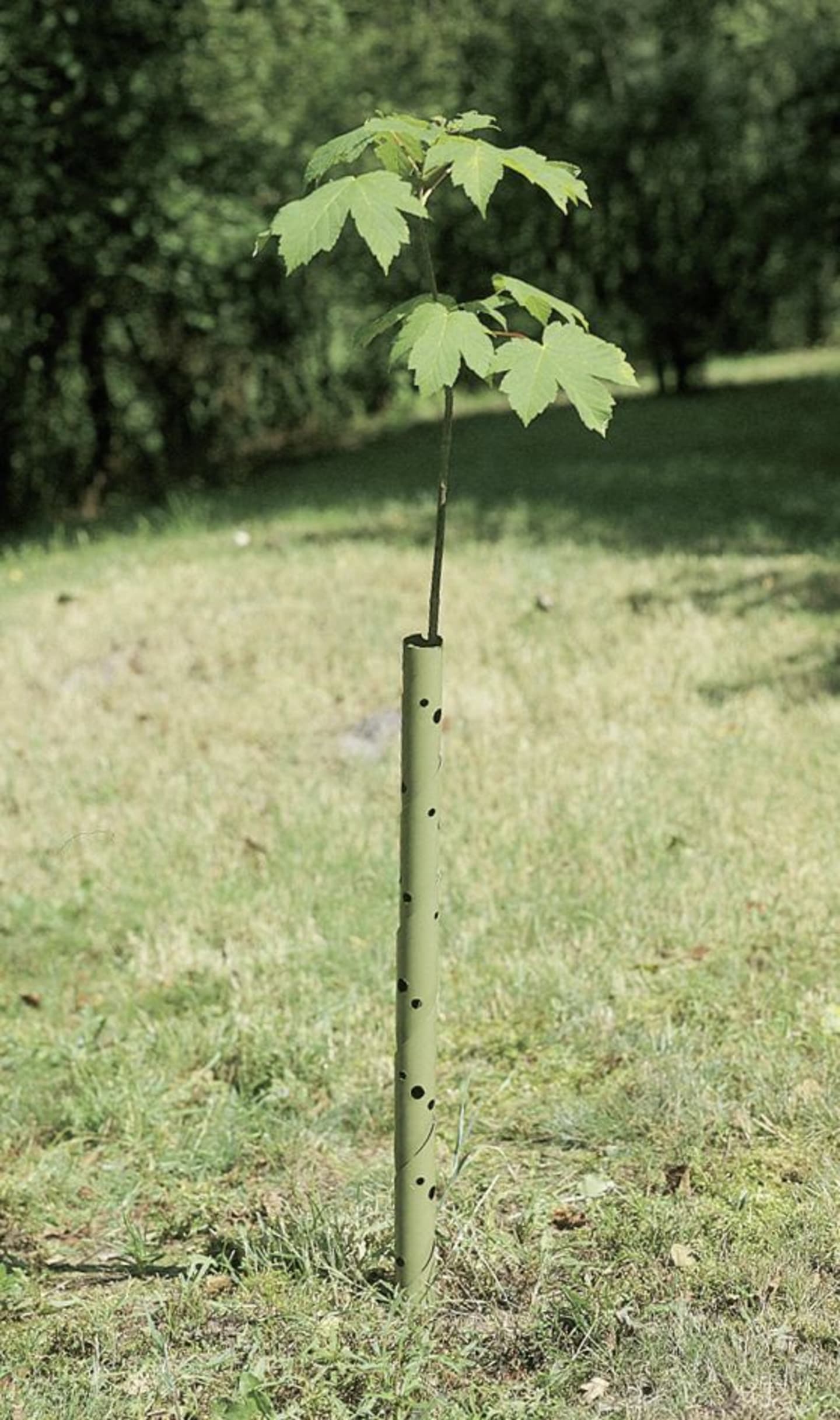 PlantaGard® Wild- und Fegeschutzspirale für Baumstämme bis ca. 3,5 cm