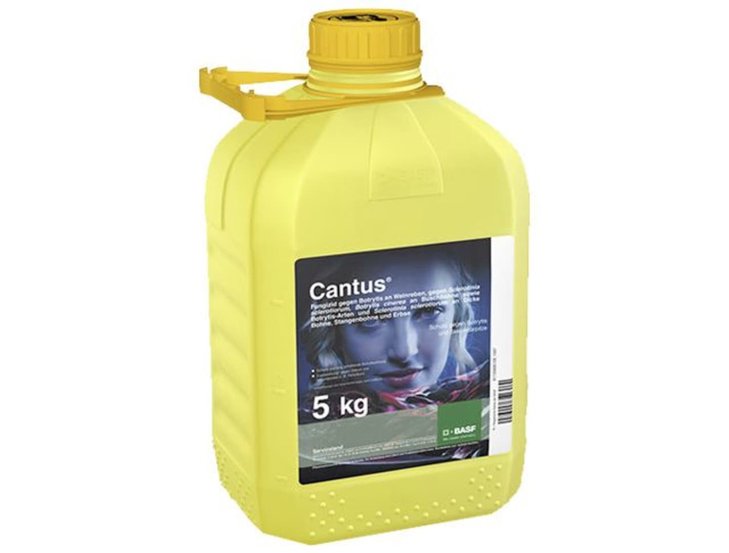 BASF Cantus