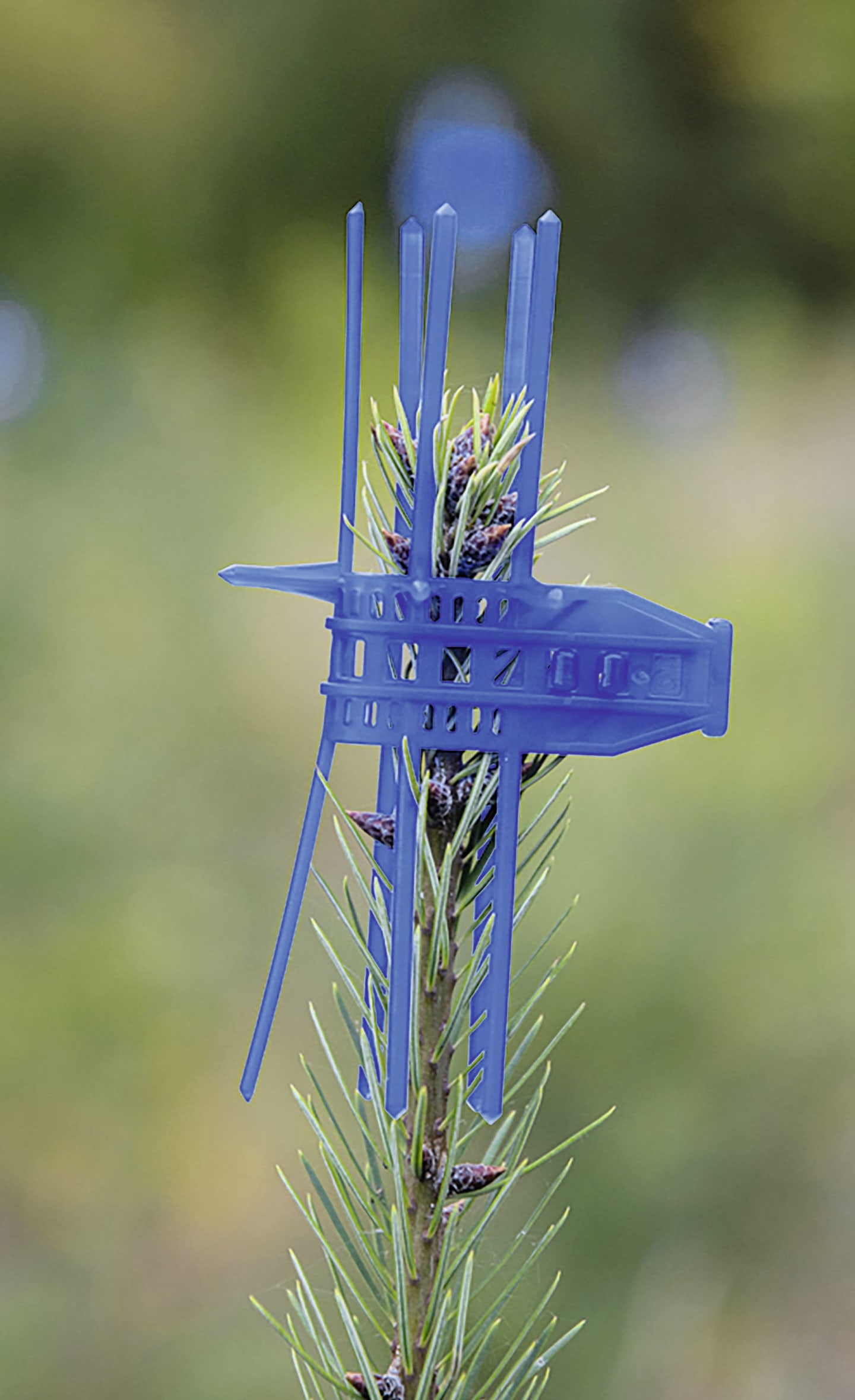signumat Verbissschutzmanschette "Cactus", blau, 100 St.