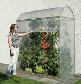 Lifestyle: Brühwiler Tomatenhaus