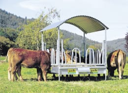 Lifestyle: Patura Heuraufe Profi 2,00 x 2,05 m, 12 Fressplätze Palisadenfressgitter, für Pferde, Rinder