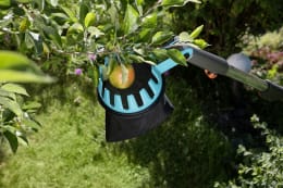 Lifestyle: Obstpflücker mit Netz und Teleskopstiel beim Pflücken eines Apfels am Baum im Garten