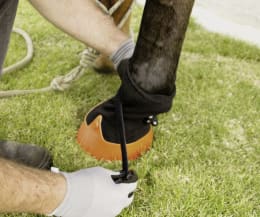 Lifestyle: Tubbease™ Hufschuh Gr. M, Ø 14,0 cm, rot, für Pferde, 3210560