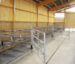 Lifestyle: Patura Liegeboxenbügel Classic für Jungvieh, Ø Rohr 48,3 mm, Länge 1,50 m, Höhe 0,96 m, 334523