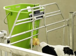 Lifestyle: KERBL Auswurfsicherung Bucket Guard für Aufhängeblech Kälbertränkeeimer, nachrüstbar, 3 St.