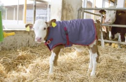 Lifestyle: KERBL Kälberdecke ThermoPlus