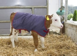 Lifestyle: KERBL Kälberdecke ThermoPlus