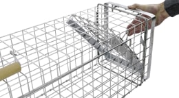 Produktbild: cit® Kastenfalle Alive Predator Super 105 x 26 x 30 cm, für Ratten, Iltisse, Füchse, streunende Katzen