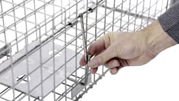 Produktbild: cit® Kastenfalle Alive Predator Super 105 x 26 x 30 cm, für Ratten, Iltisse, Füchse, streunende Katzen