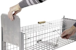Lifestyle: cit® Kastenfalle Alive Predator Super 105 x 26 x 26 cm, für Ratten, Iltisse, Füchse, streunende Katzen