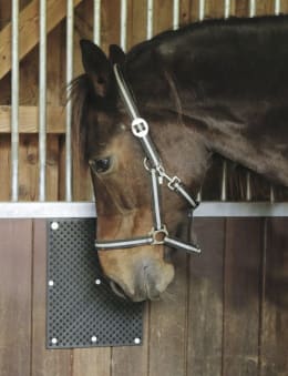 Lifestyle: Pferd reibt Kopf an wandmontierter Kratzmatte im Stall