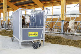 Lifestyle: Patura Kälber-Auto mit Kalb im Einsatz in einem Rinderstall