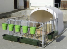 Lifestyle: KERBL Kälberiglu CalfHouse Premium XL für 5 Kälber