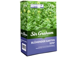 Produktbild: Senf Saatgut Gründüngung/
