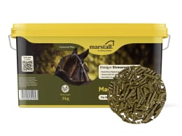 Produktbild: marstall® Magnesium getreidefreies, pelletiertes Zusatzfutter mit Selen für Pferde