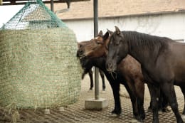 Lifestyle: KERBL Heunetz für Rundballen, Maschenweite 45 x 45 mm, zum Aufhängen